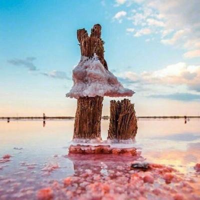 域网棋牌游戏下载手机版