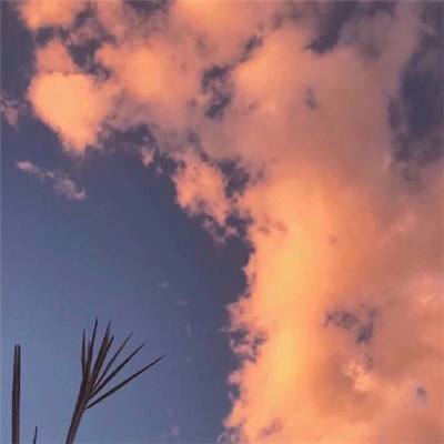 狗万官网app下载