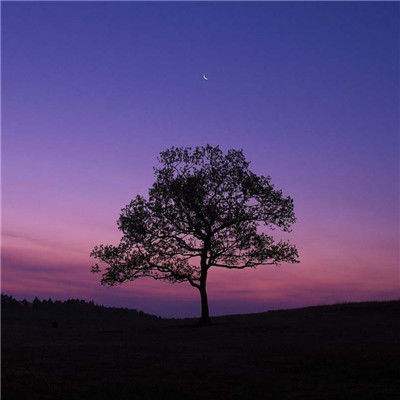 金沙官方登录入口