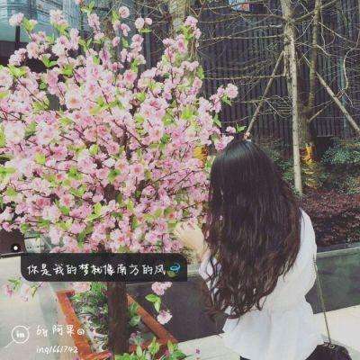 新澳门游戏网站入口下载手机版